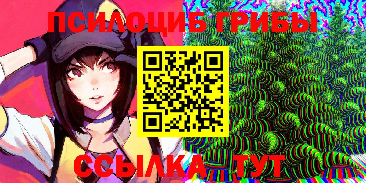 Псилоцибиновые грибы Cubensis  Вход с VPN  Котовск 