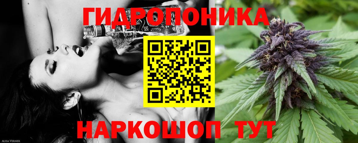 МАРИХУАНА гибрид  Вход с VPN  Котовск  Конопля AK-47  Конопля индика 